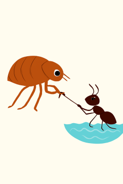 The Flea and the Ant