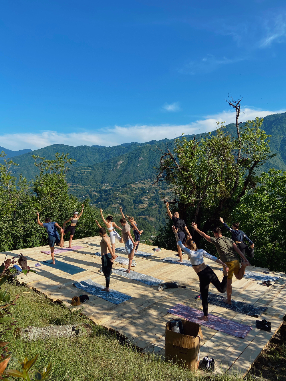 Йога-тур в Кахетию 